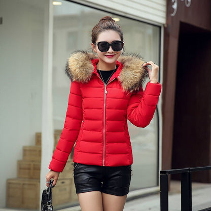 Slim Padded Jacket – Lightweight Cotton and Down Winter Wear - Xandu Limited